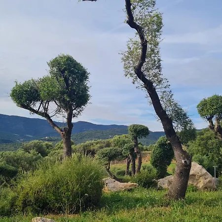 Villa 45 Pers T2 Climatisee Dans Vue Piscine Chauffee Serra-di-Ferro (Corsica)
