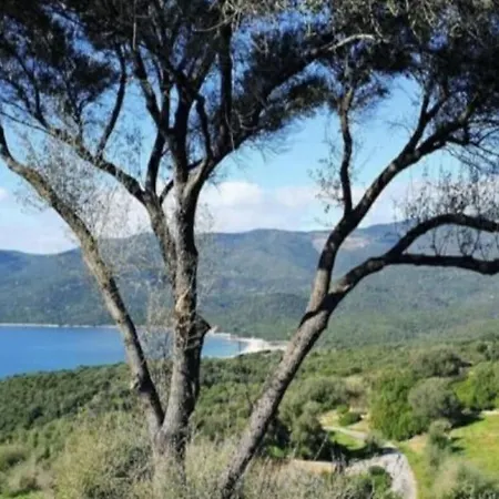 Villa 4 A 5 Pers T2 Climatisee & Wifi Piscine Et A Pied *