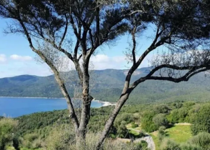 Villa 4 A 5 Pers T2 Climatisee & Wifi Piscine Et A Pied *